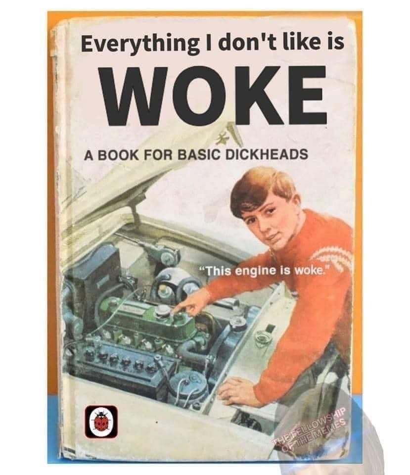 everything I don't like is woke, a guide for basic dickheads