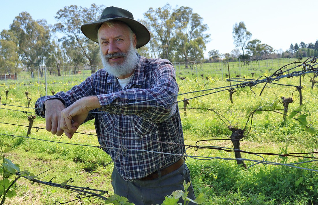 Swan Valley winemakers comment on policy change - Echo Newspaper