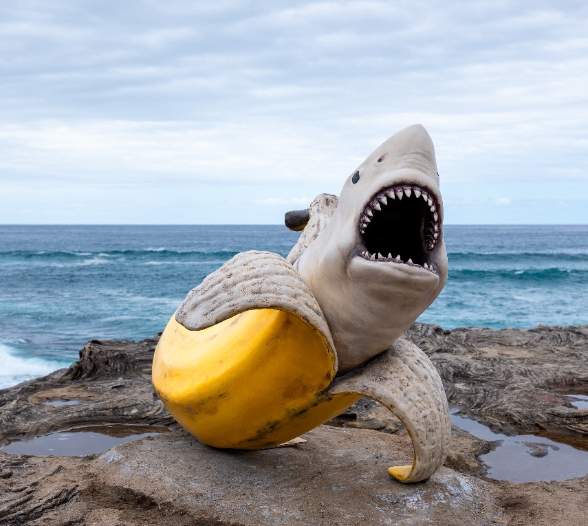 'It's absurd': The reason behind this artist's shark-banana artwork at Sculpture by the Sea