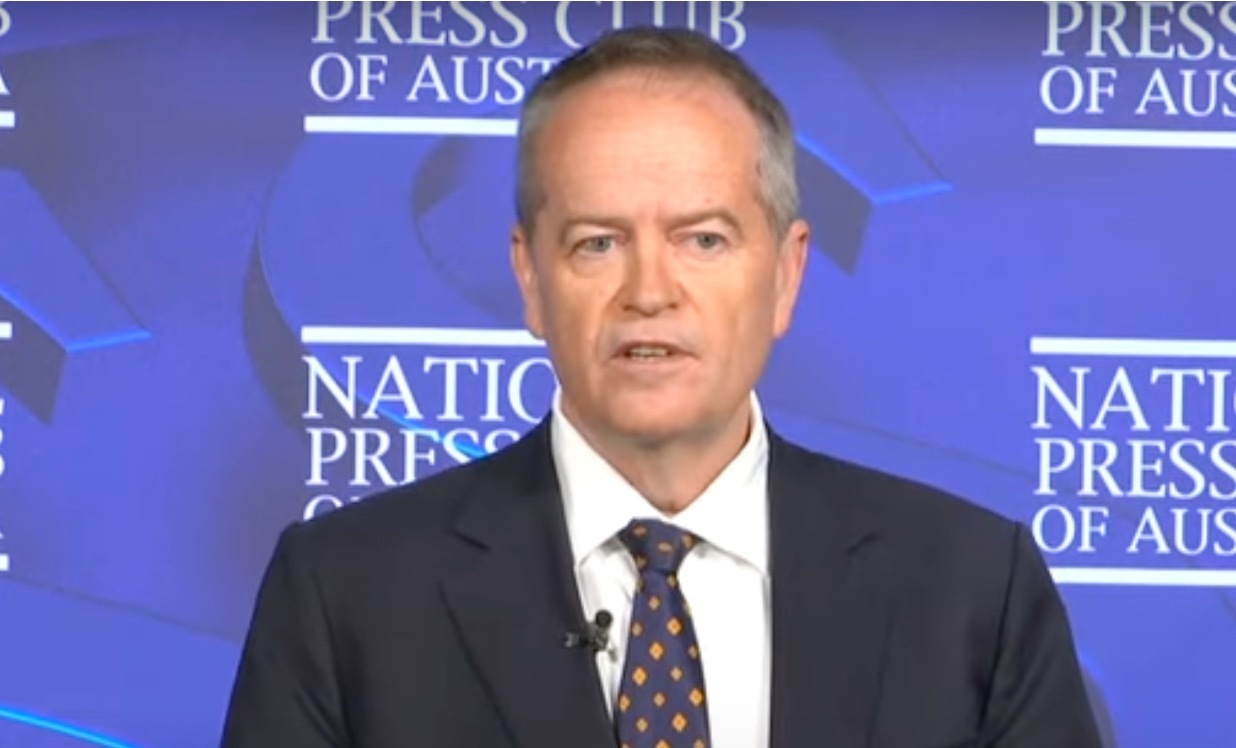 Shorten Not Renewed for Next Season of NDIS — The Shovel