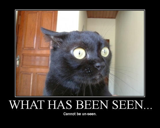 Demotivational poster with a picture of a shocked looking cat and the text "What has been seen cannot be unseen"