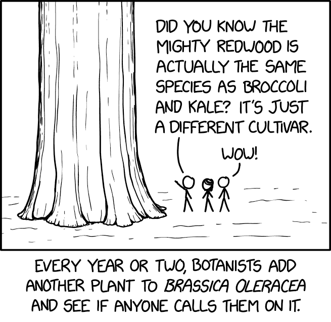 xkcd