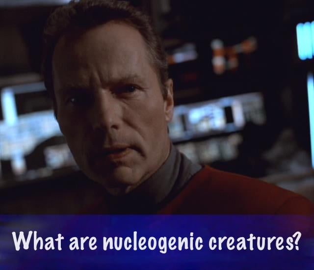 Captain Ransom from the Star Trek Voyager episode Equinox, responding to a Jeopardy question about what fuels a starship.