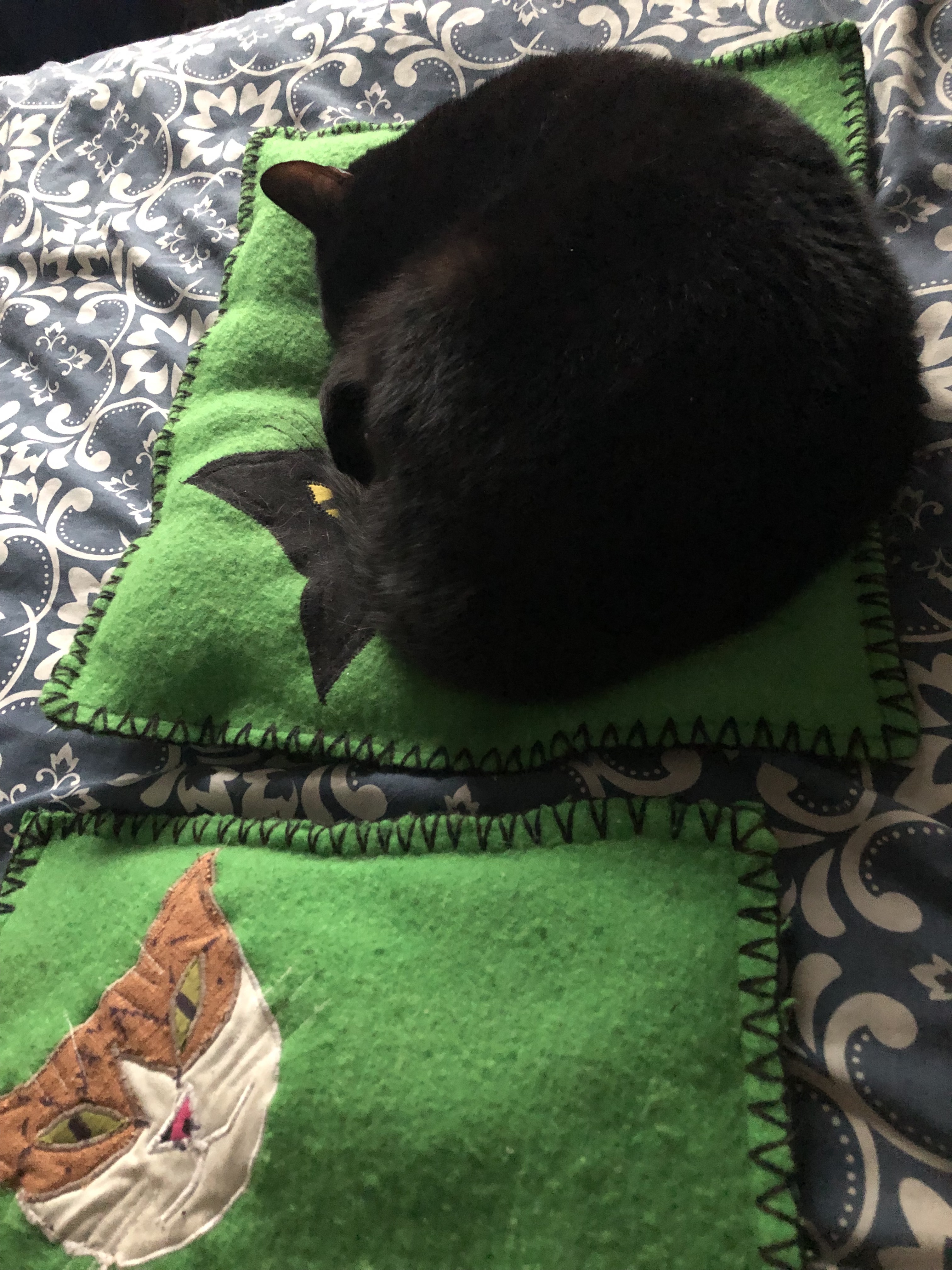 black cat on a custom pillow