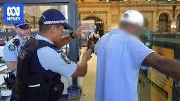 Sydney police undertake first wanding operation – this is what they found