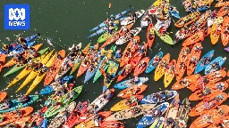 Supreme Court prohibits Rising Tide climate protest on Newcastle harbour