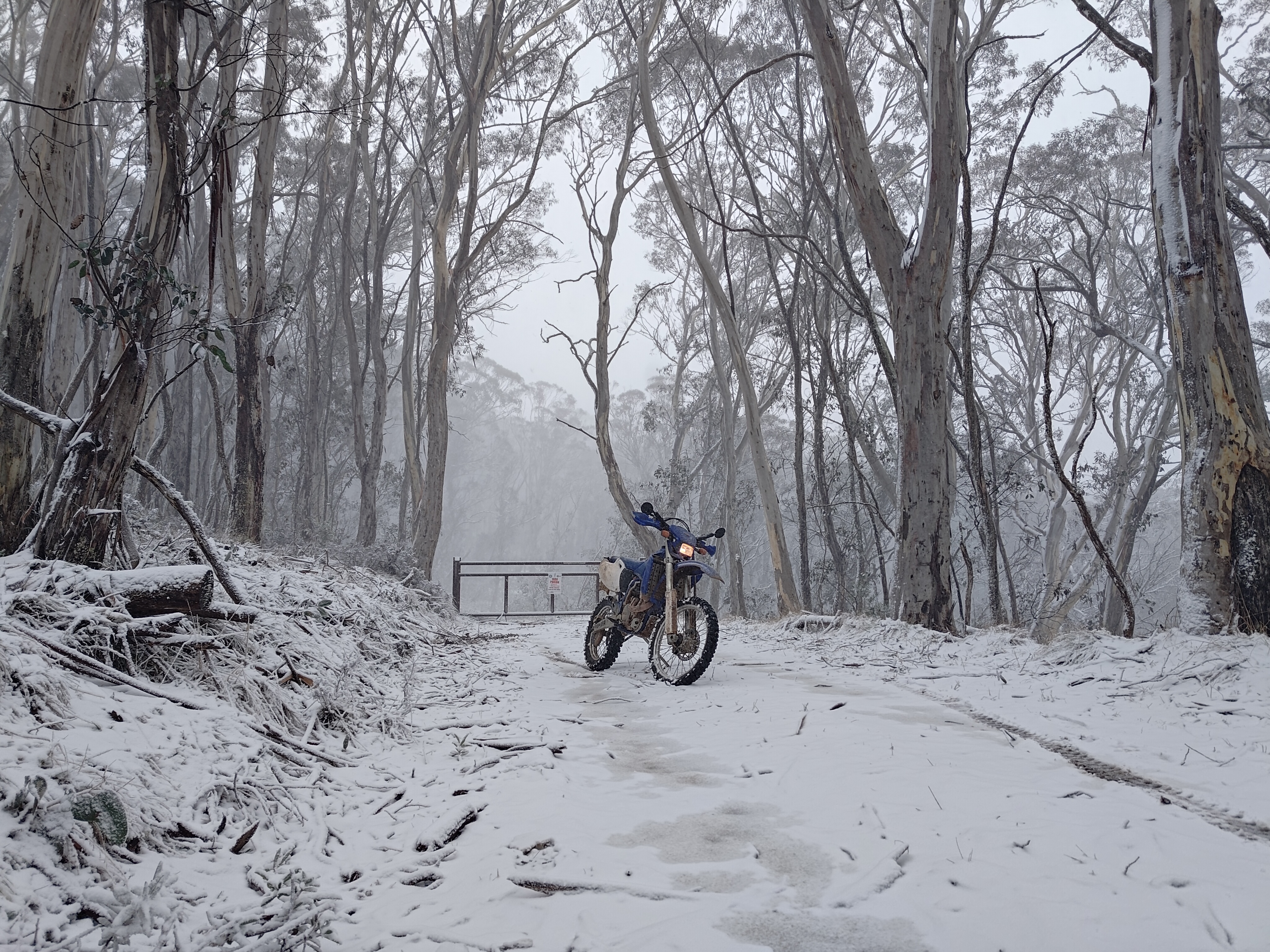 a motorcycle in snow covered Australian bush