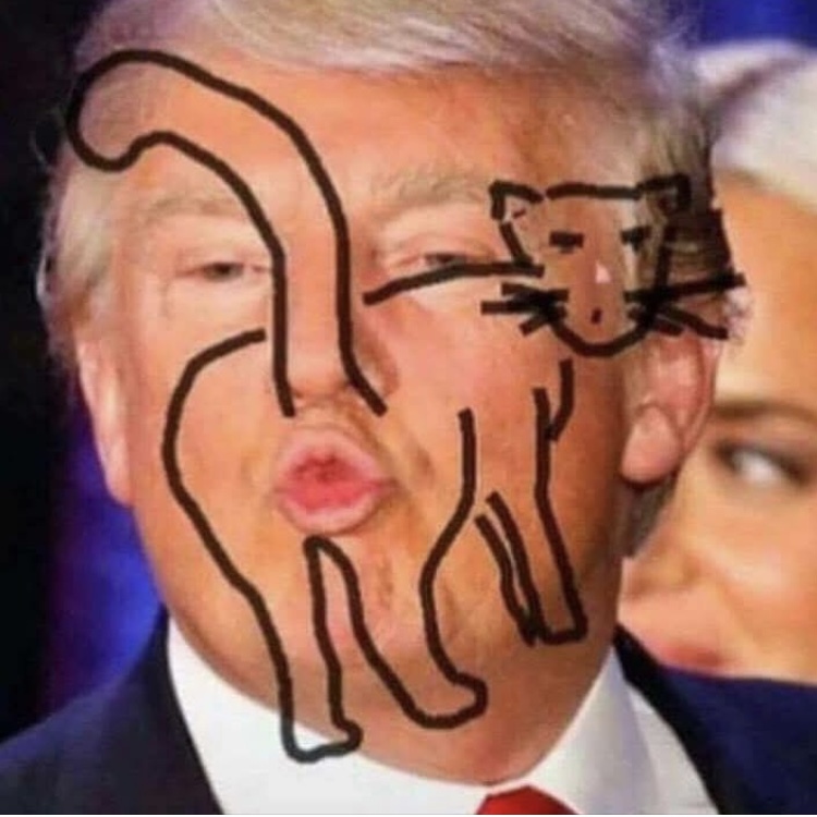 Trump with epic cat bum face