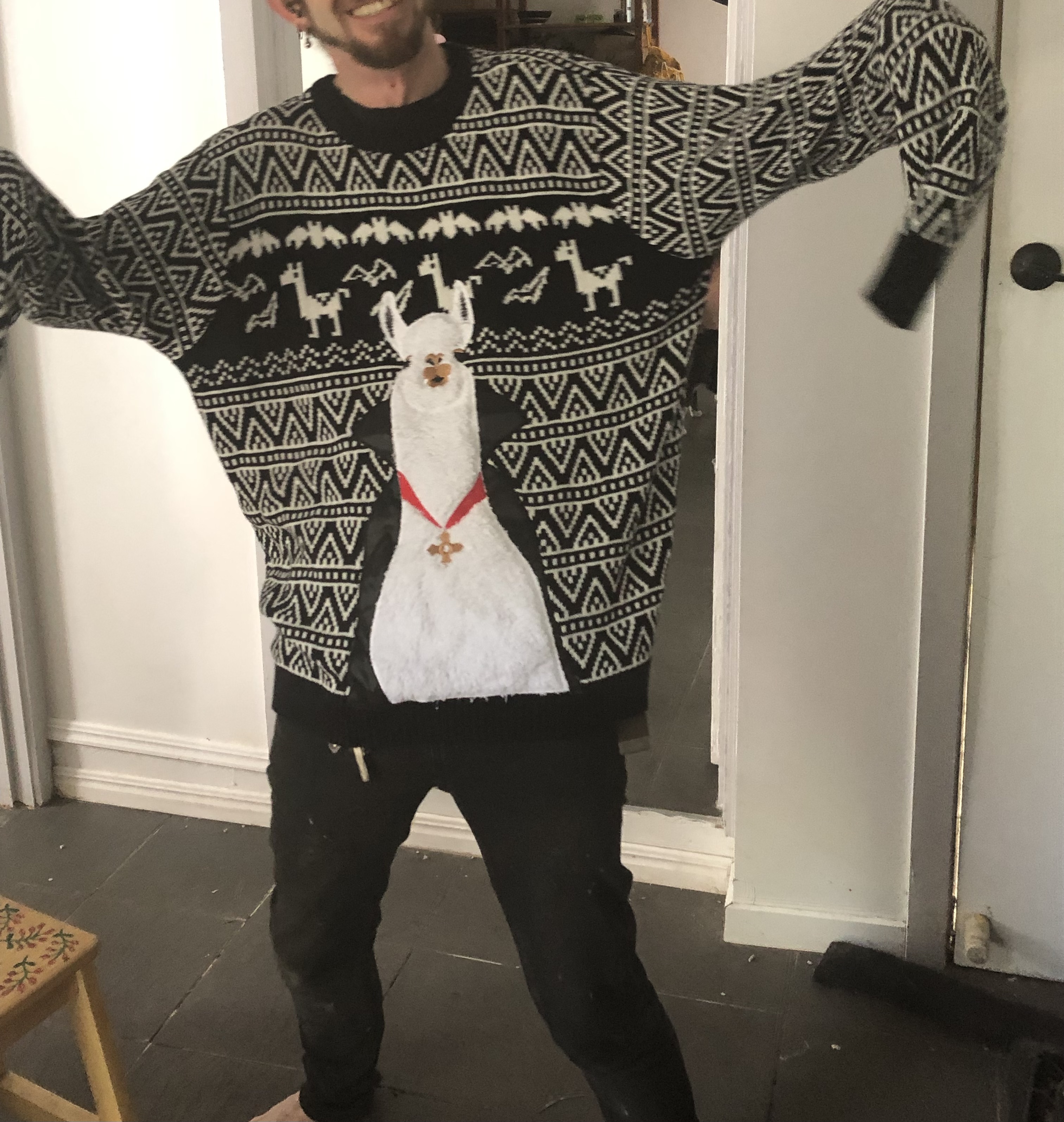 ugly llama haloween jumper