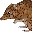 PetulantBandicoot