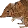 PetulantBandicoot