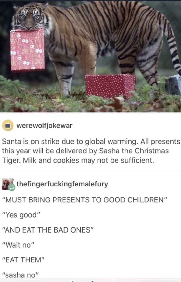 a tiger with a gift