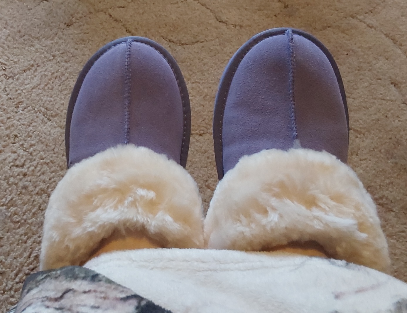 Purple slippers