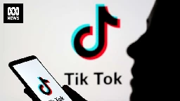 Coalition steps up calls to ban TikTok over links to China