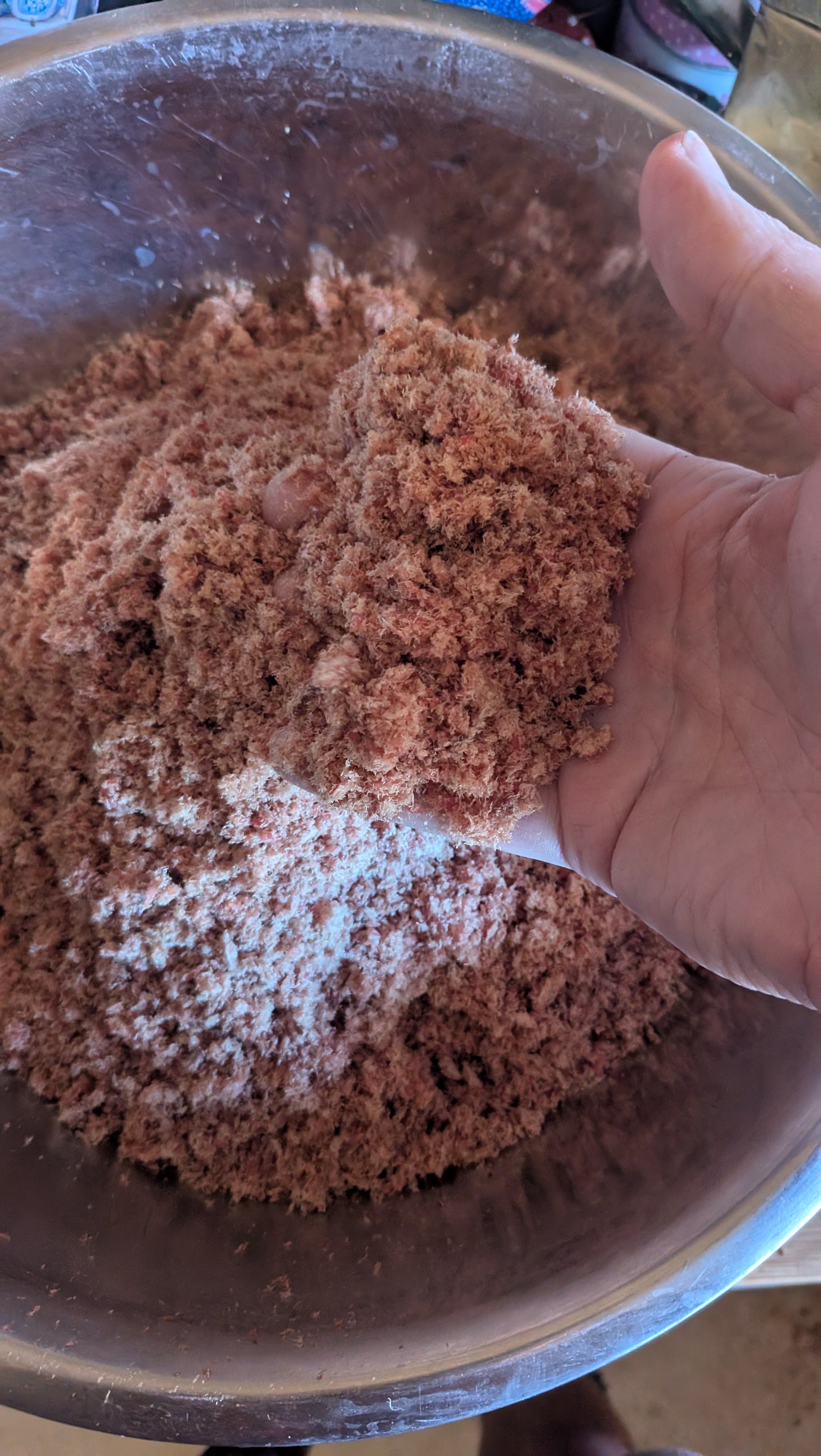 Dry meat blended fine. The little bit of fat in the meat makes it sticky