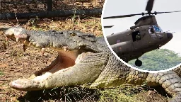 Croc sex frenzy: Low-flying army choppers spark romp in the swamp