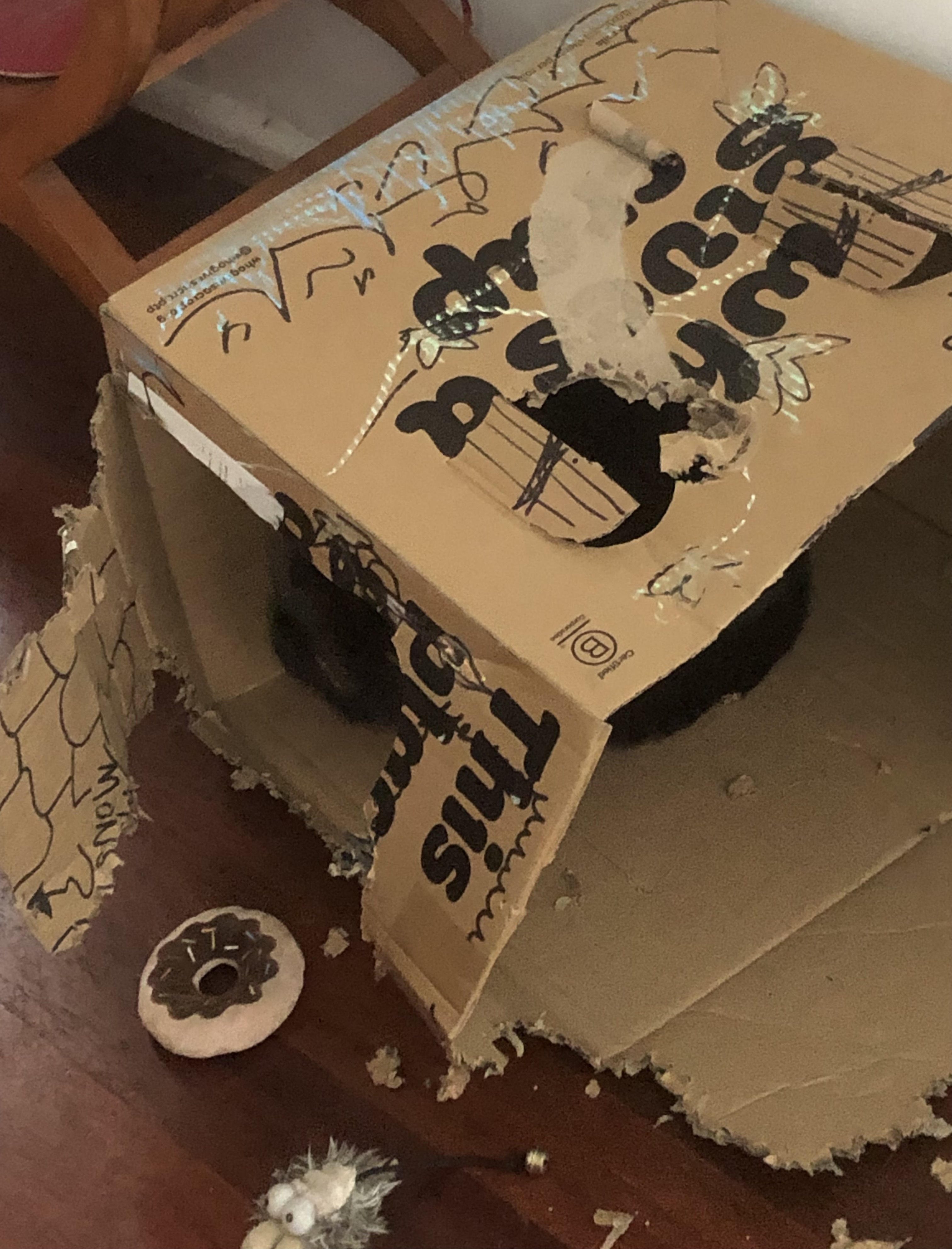 destroyed cat castle