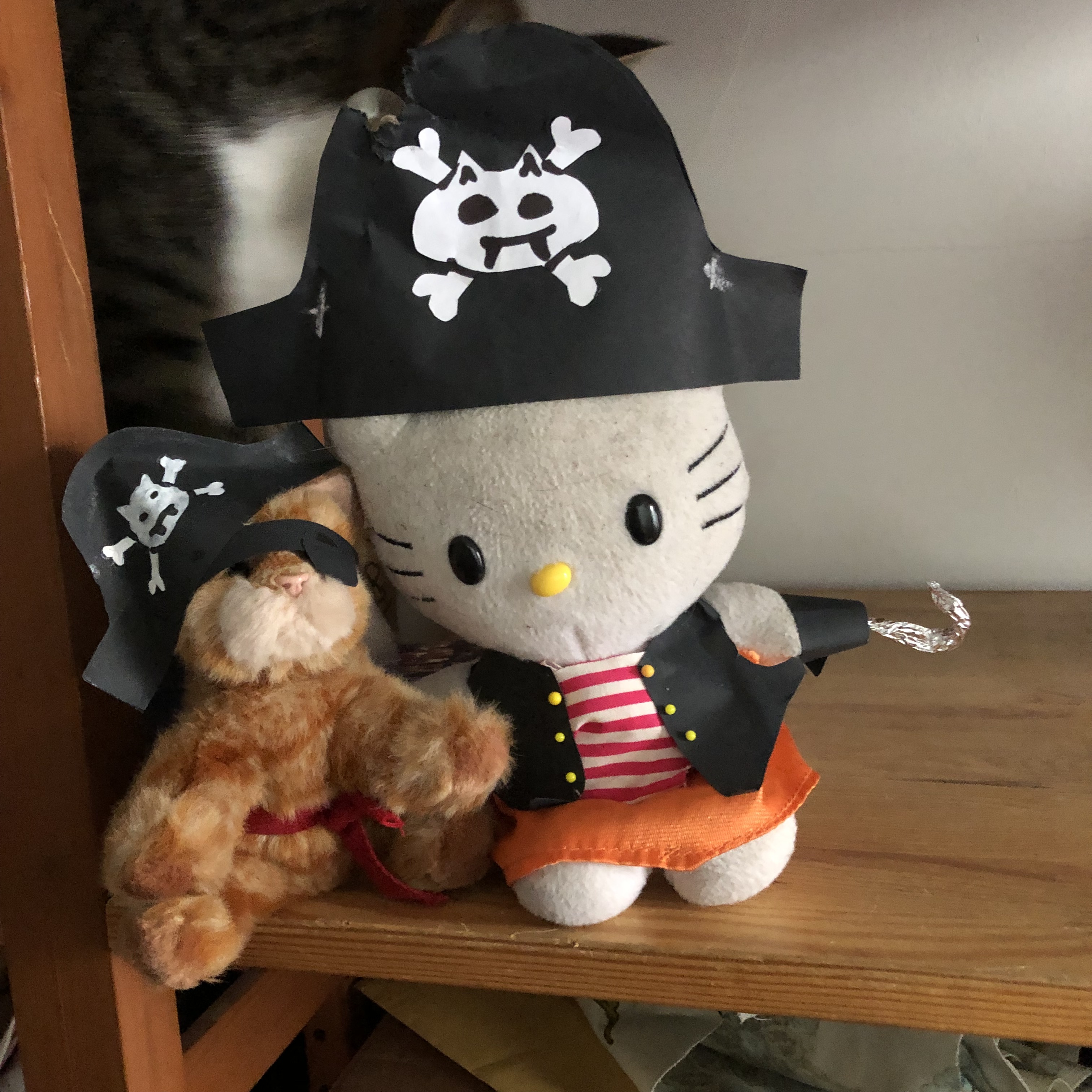 piratical cat plushies