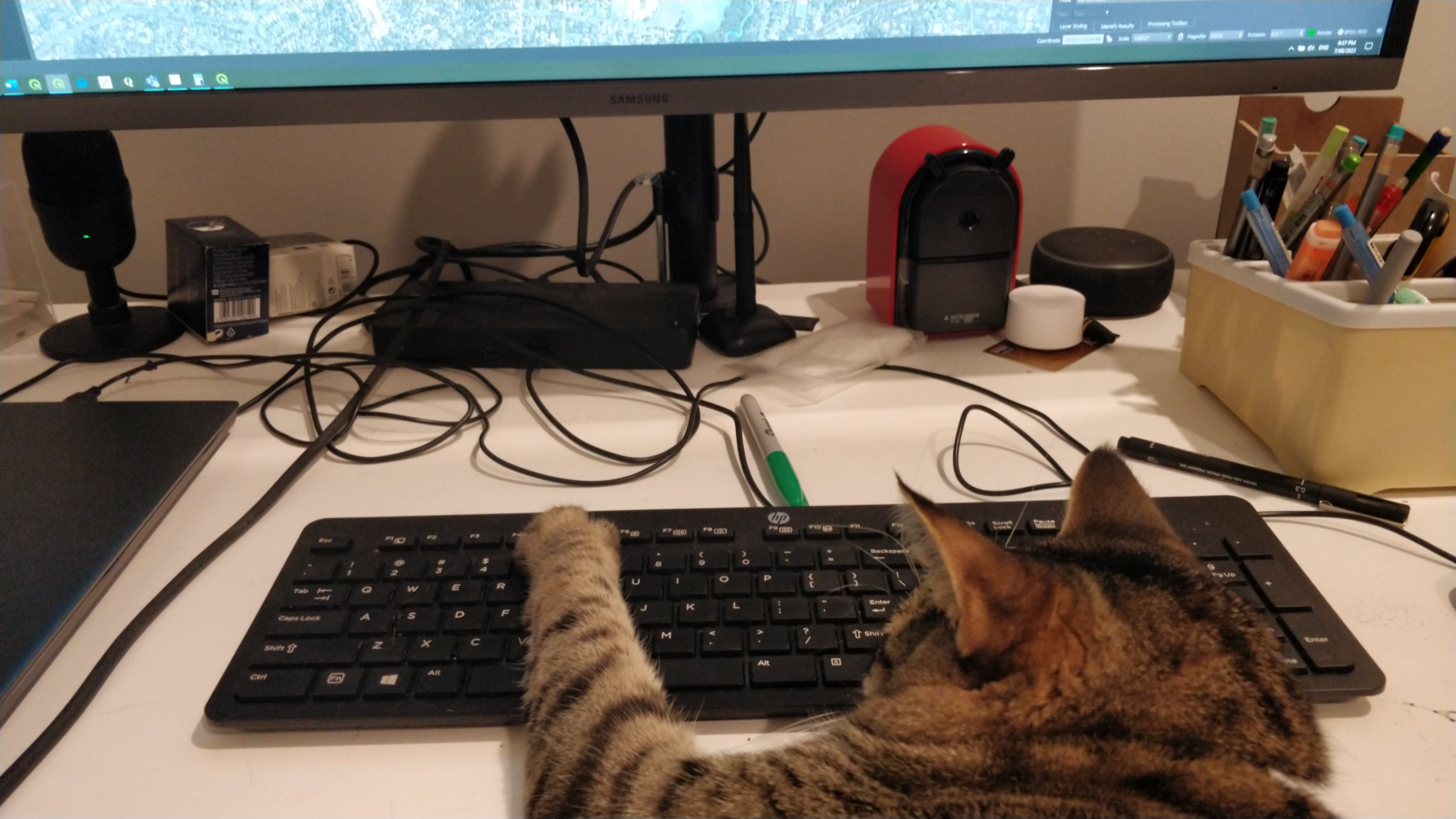 striped tabby lying on cushion on lap, sprawling onto work desk with a paw decidedly extended over the keyboard as if to suggest that use of it is henceforth denied