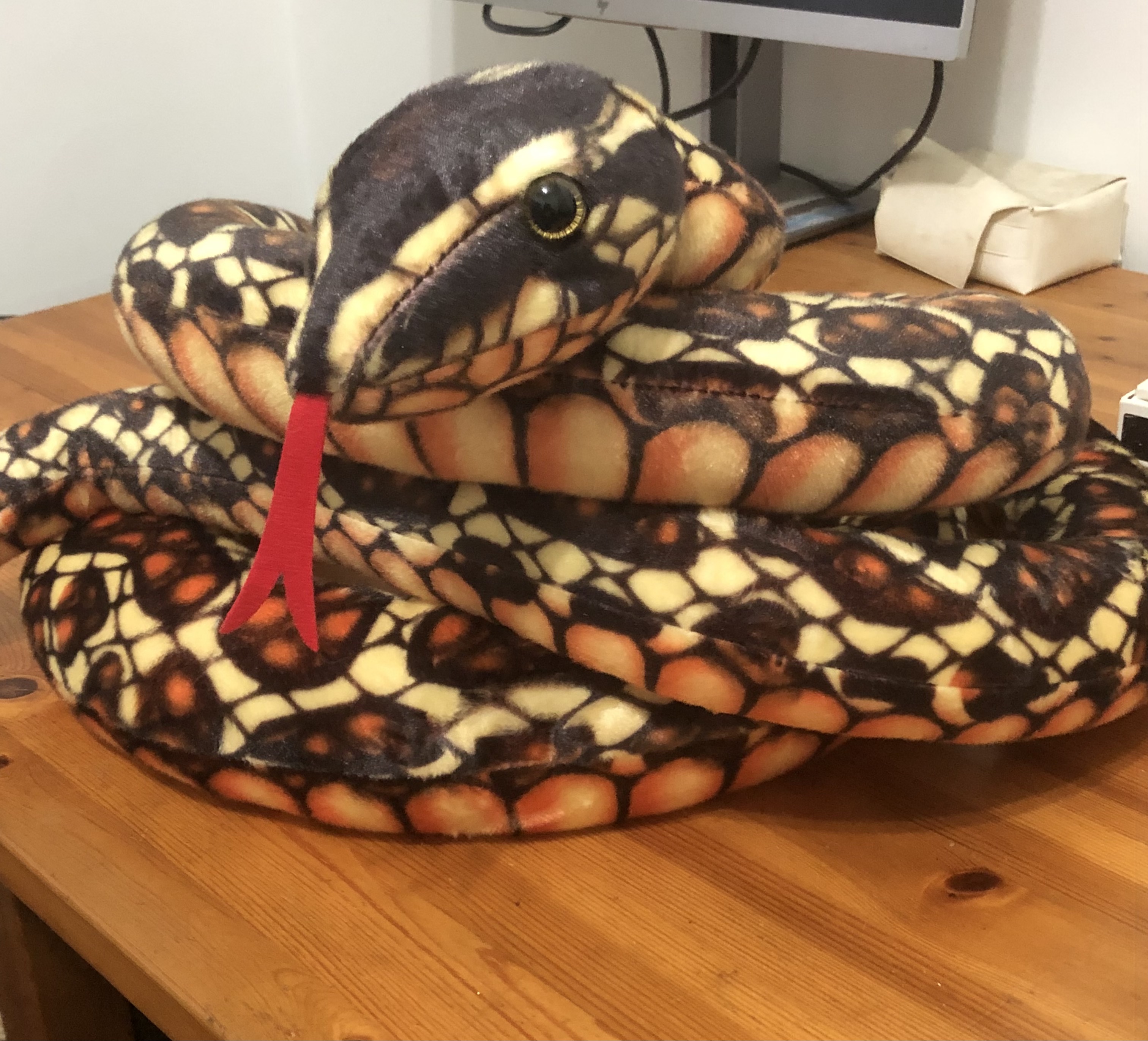 plush snake