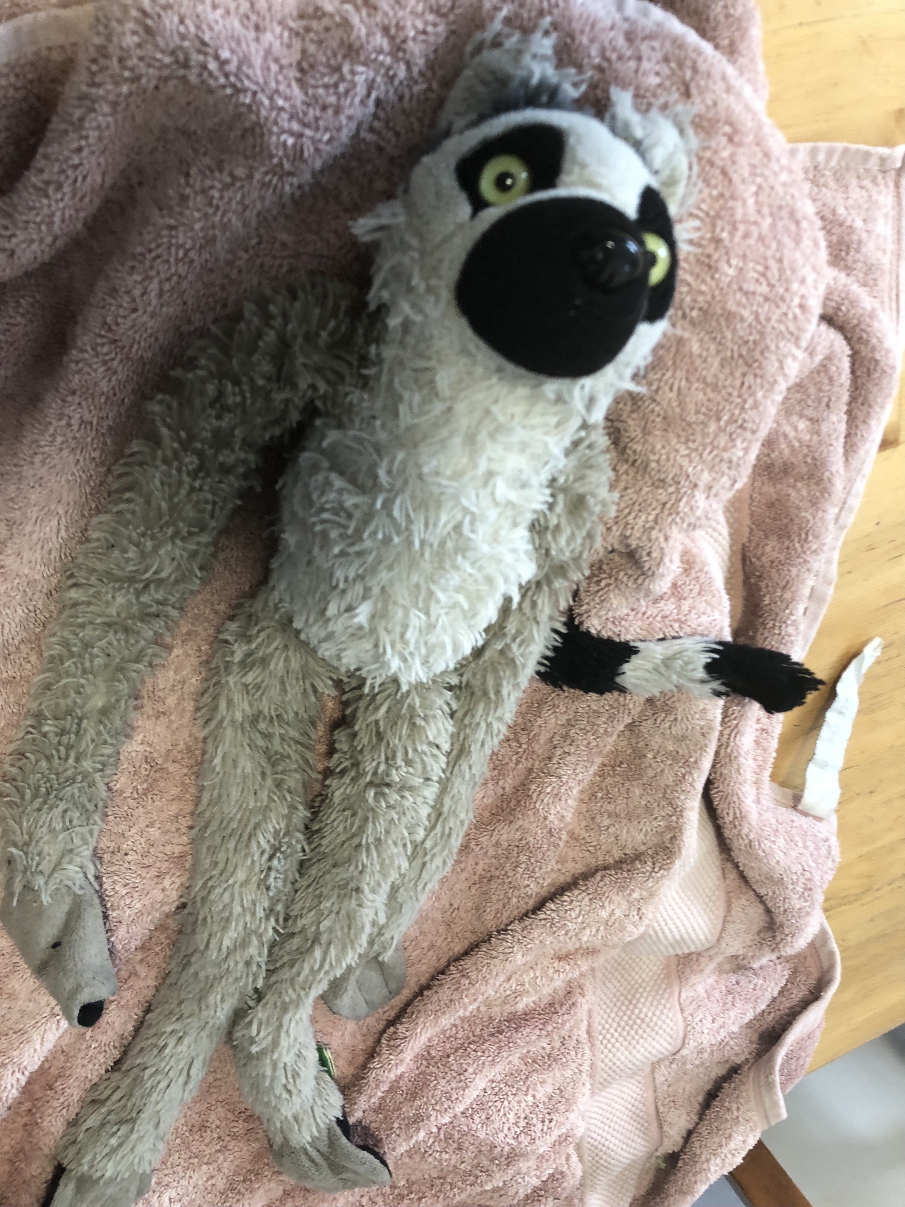 a wet plush lemur