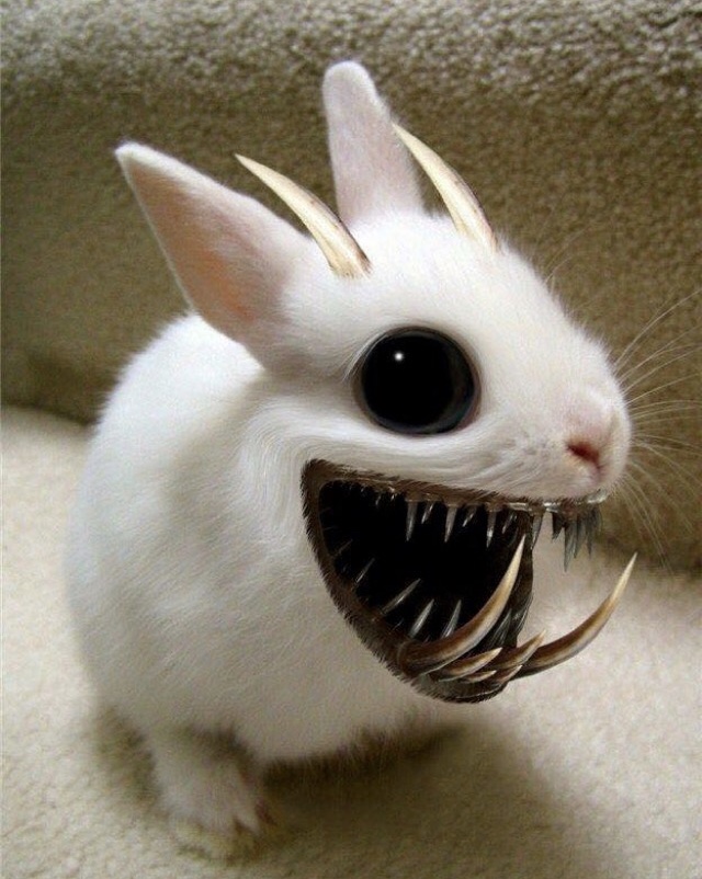 danger bunny