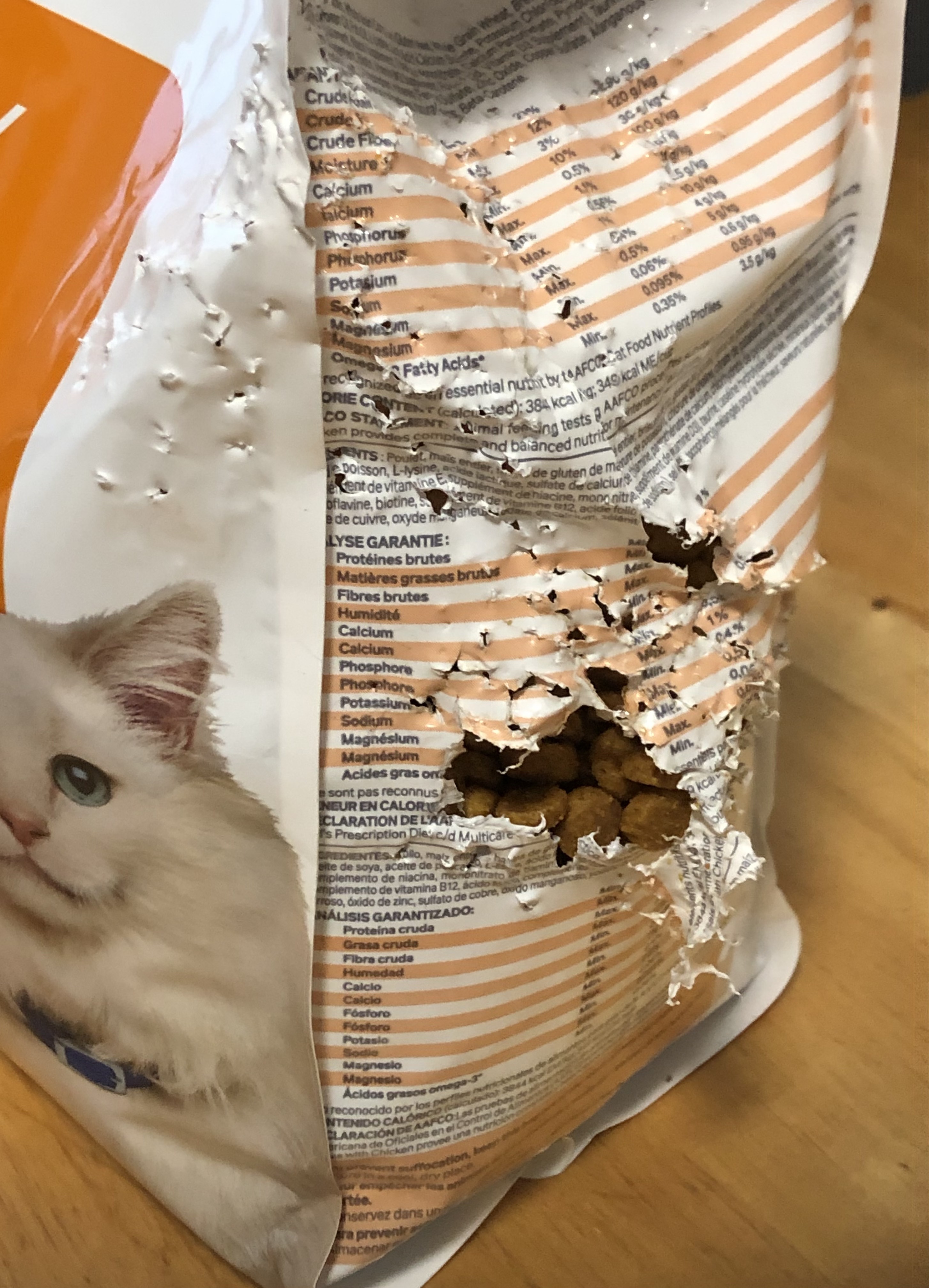 chewed up cat food bag