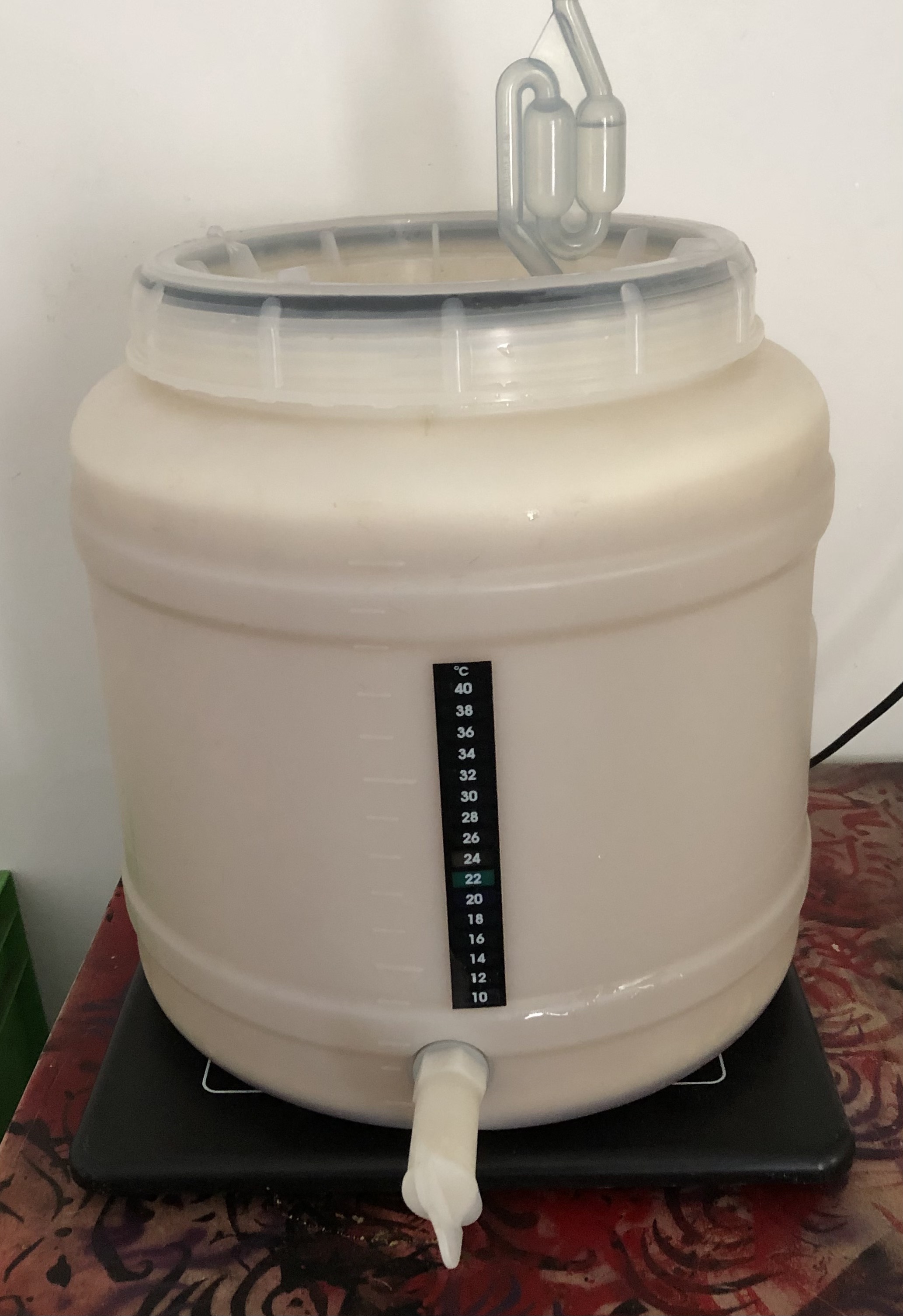 fermentation vat