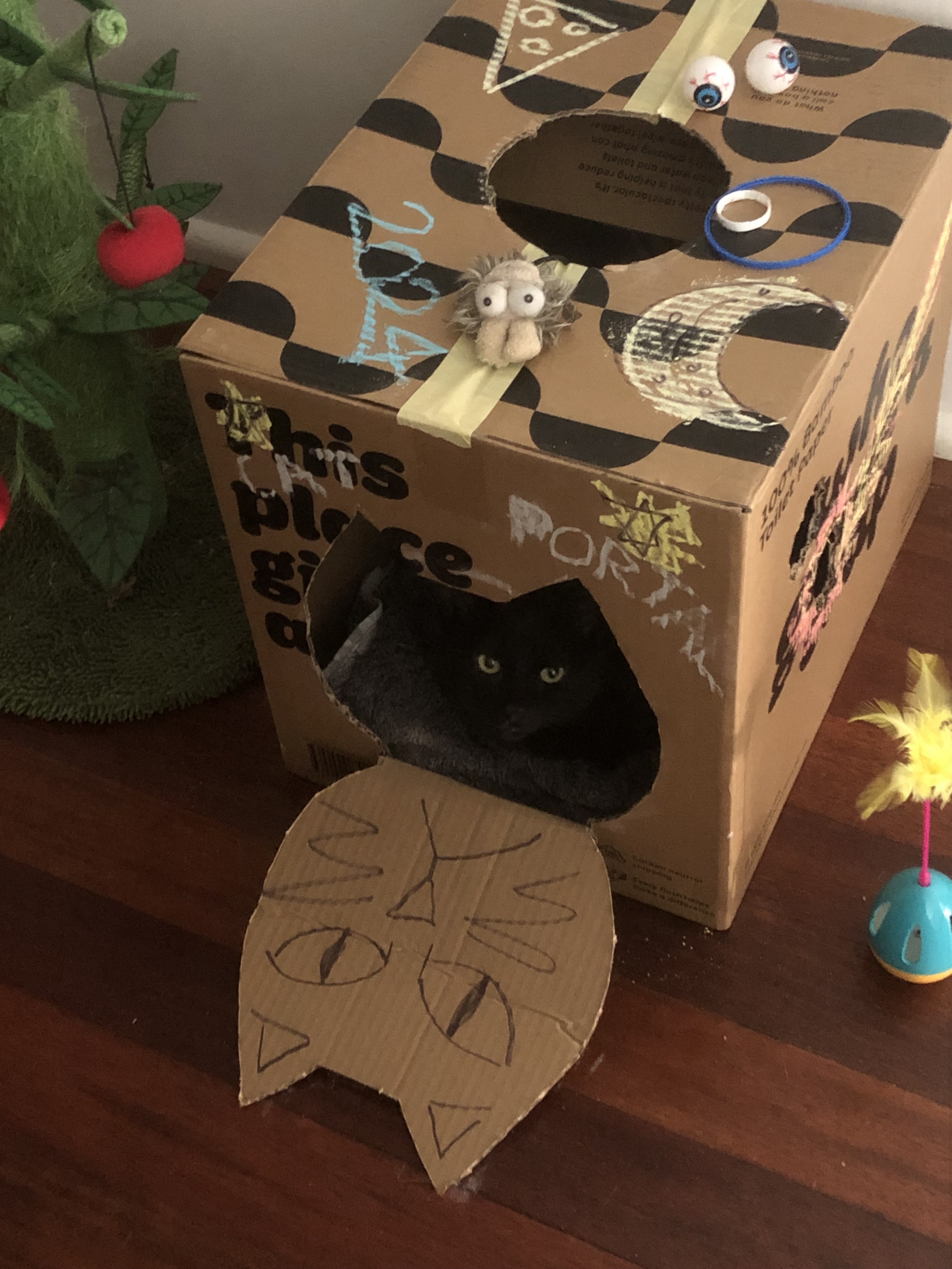 a cardboard cat cubby